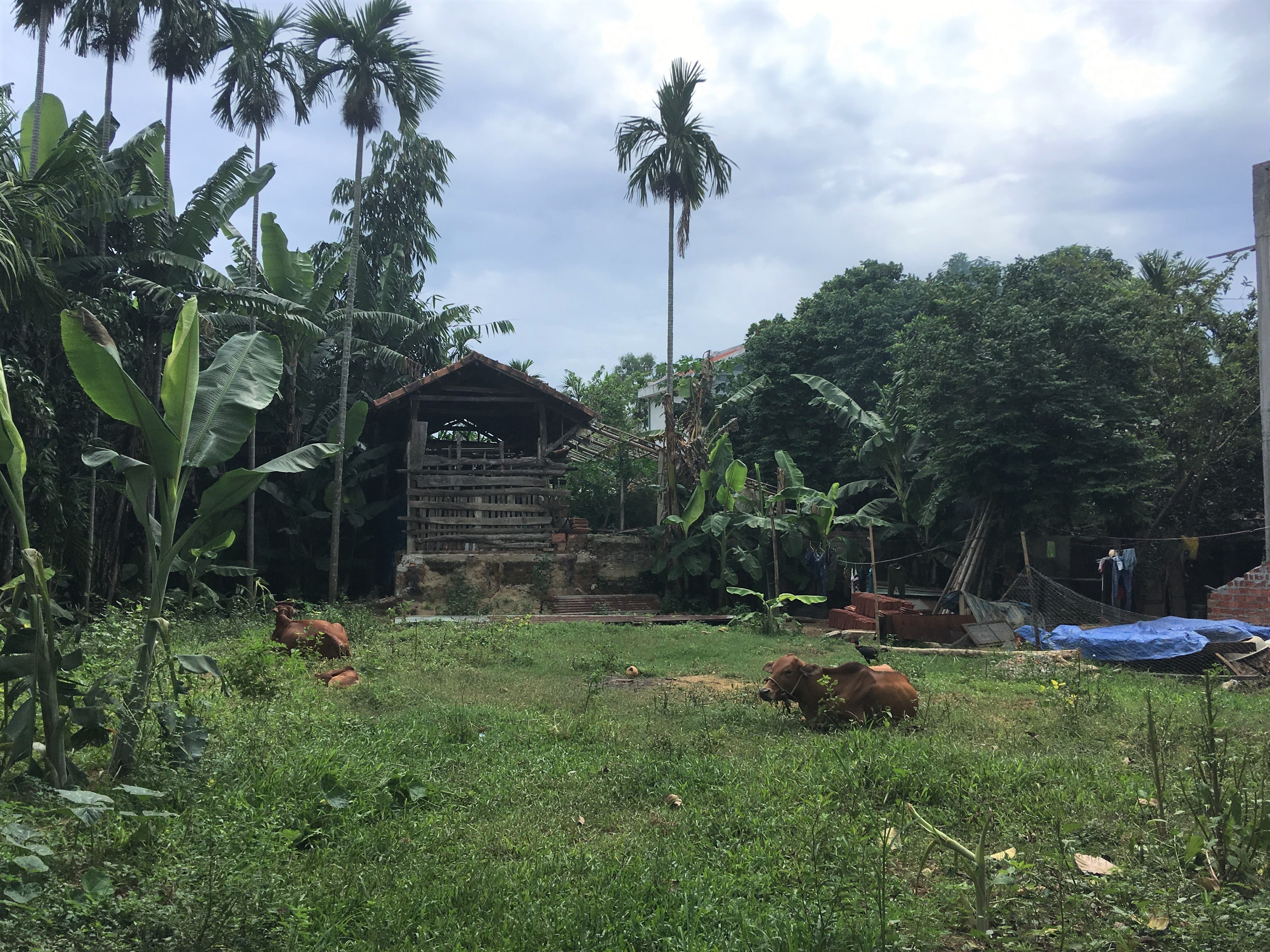 Thanh Ha Pottery Village