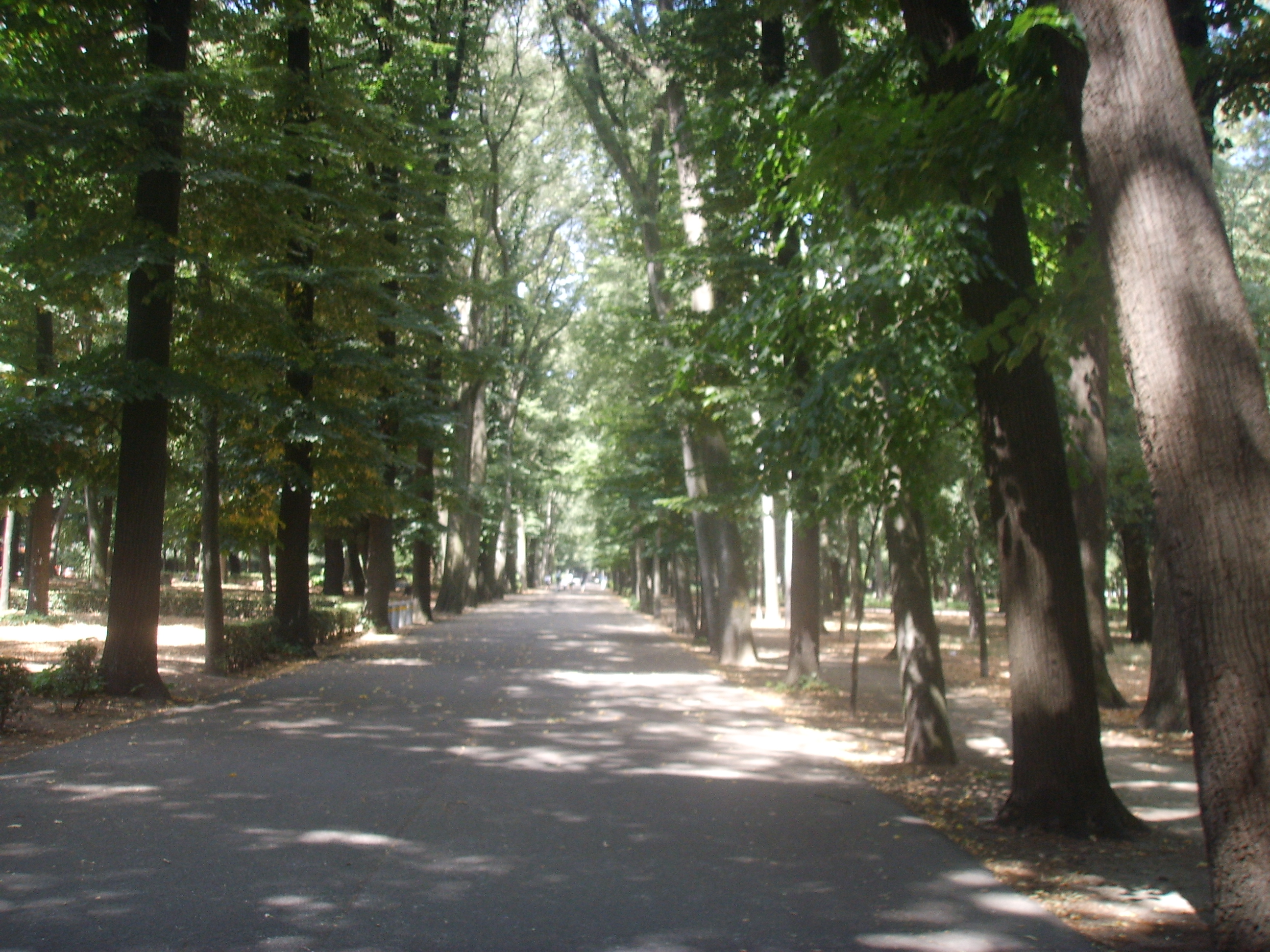 Cascine Park