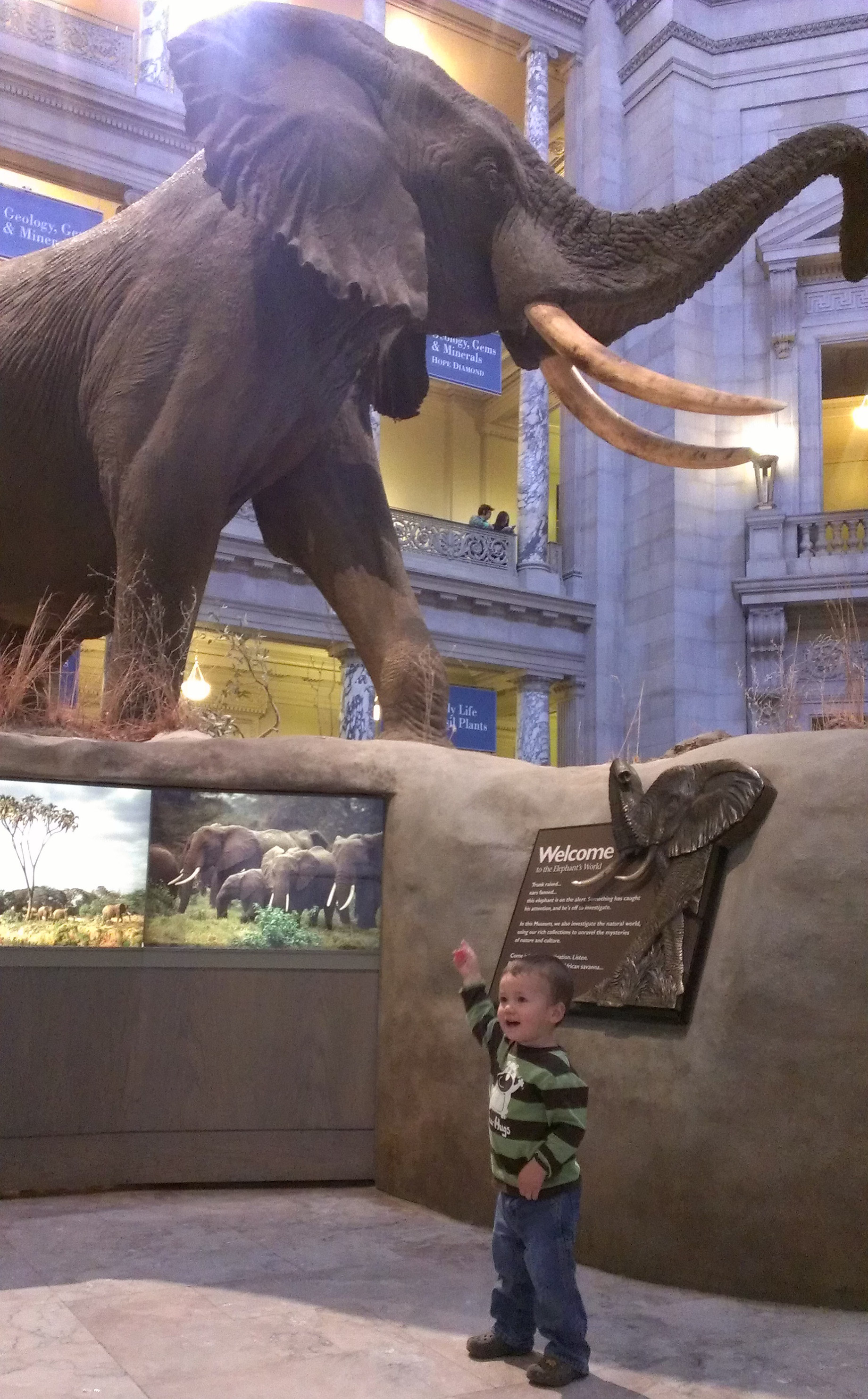 National Museum of Natural History