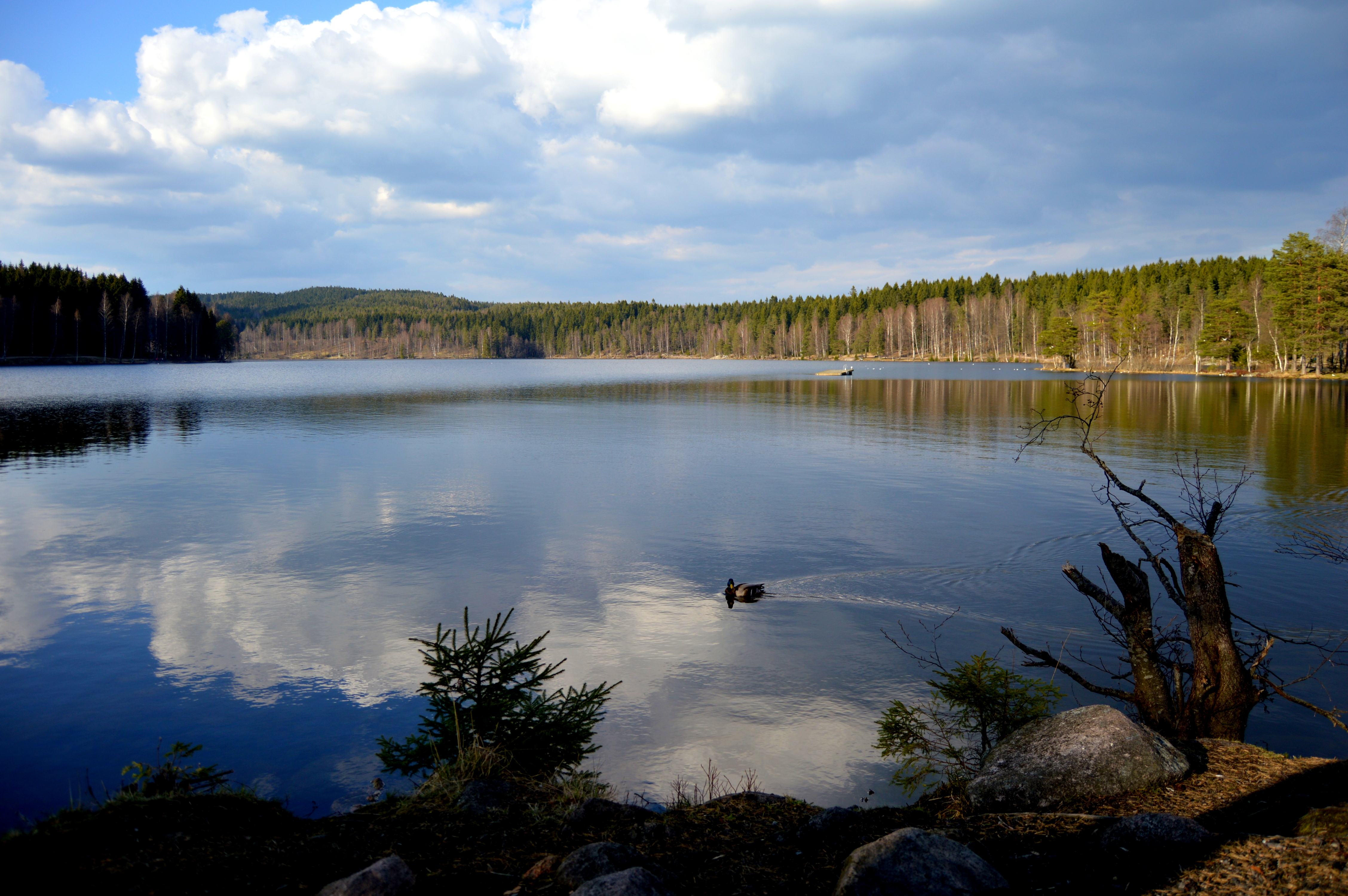 Sognsvann Lake