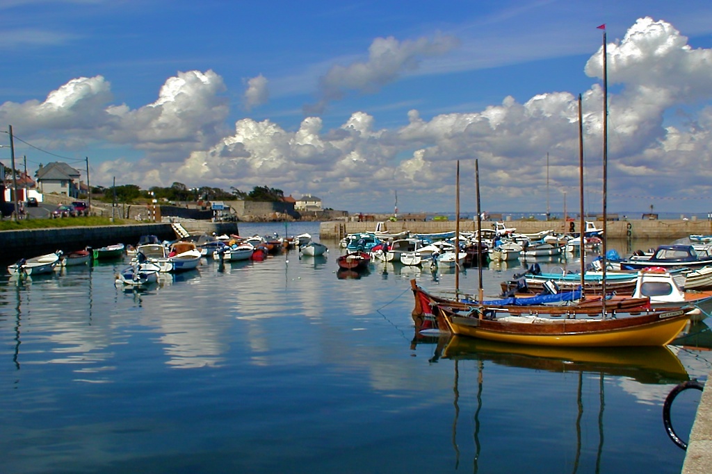 Harbour Kayaking