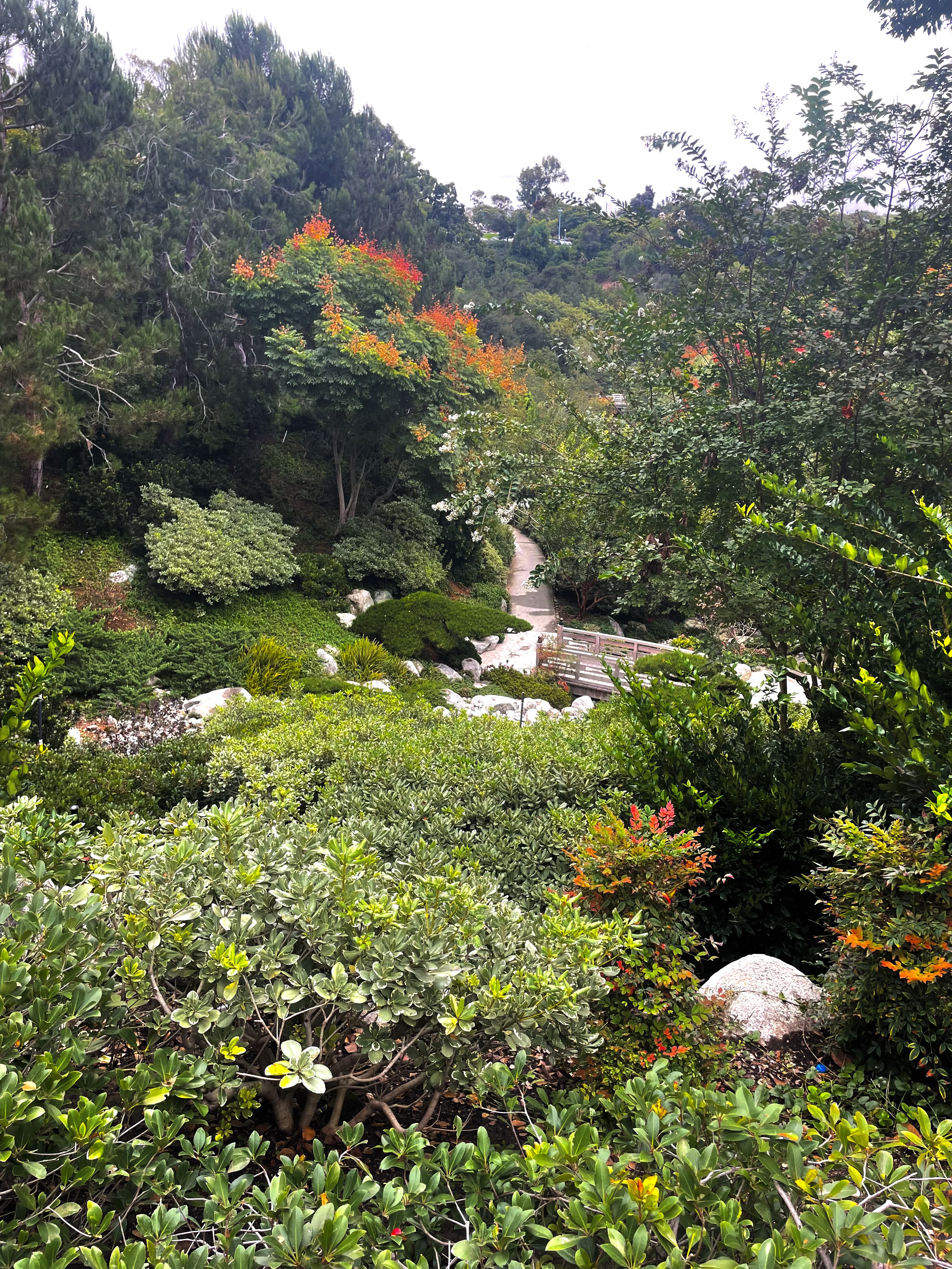 Japanese Friendship Garden