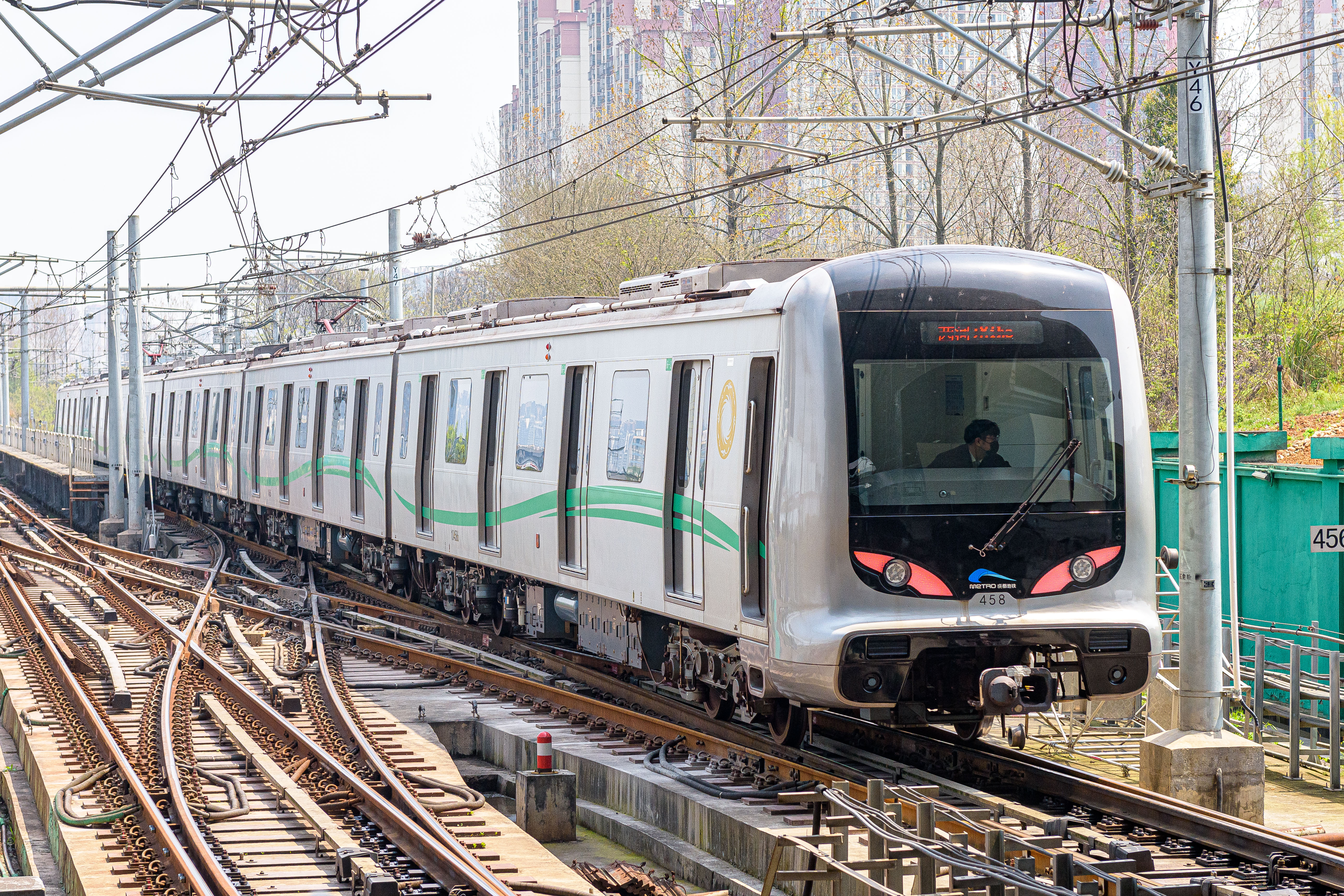 Chengdu Natural History Museum
