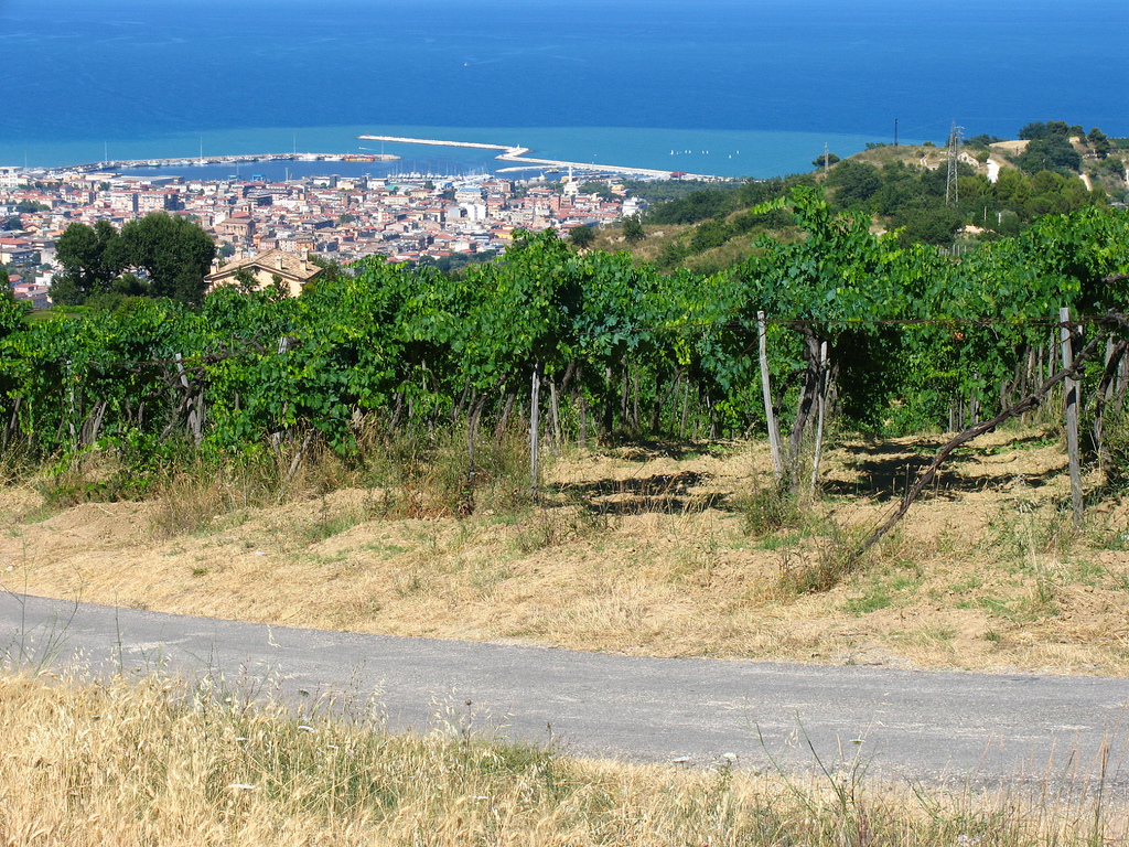 Lungomare di Catania