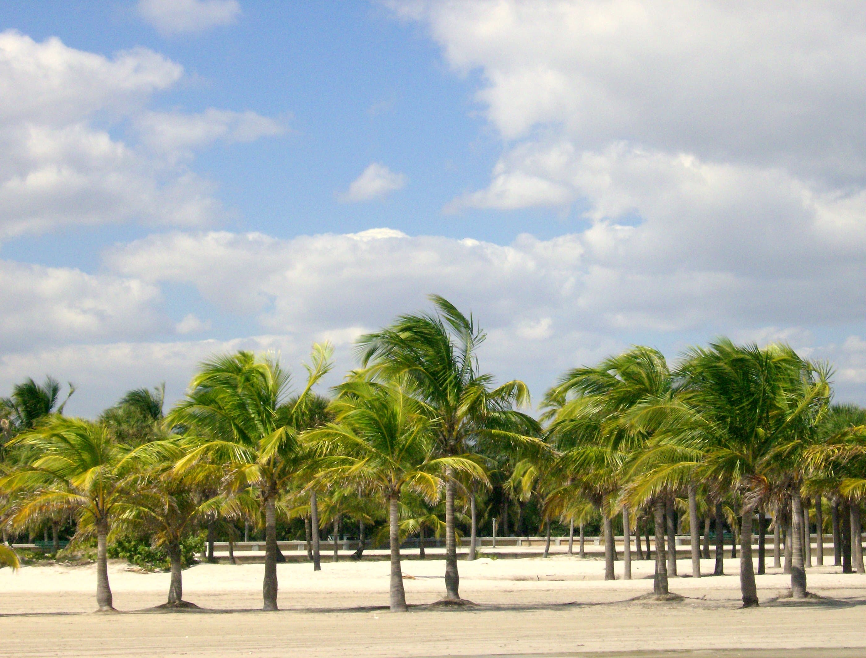 Crandon Park Beach