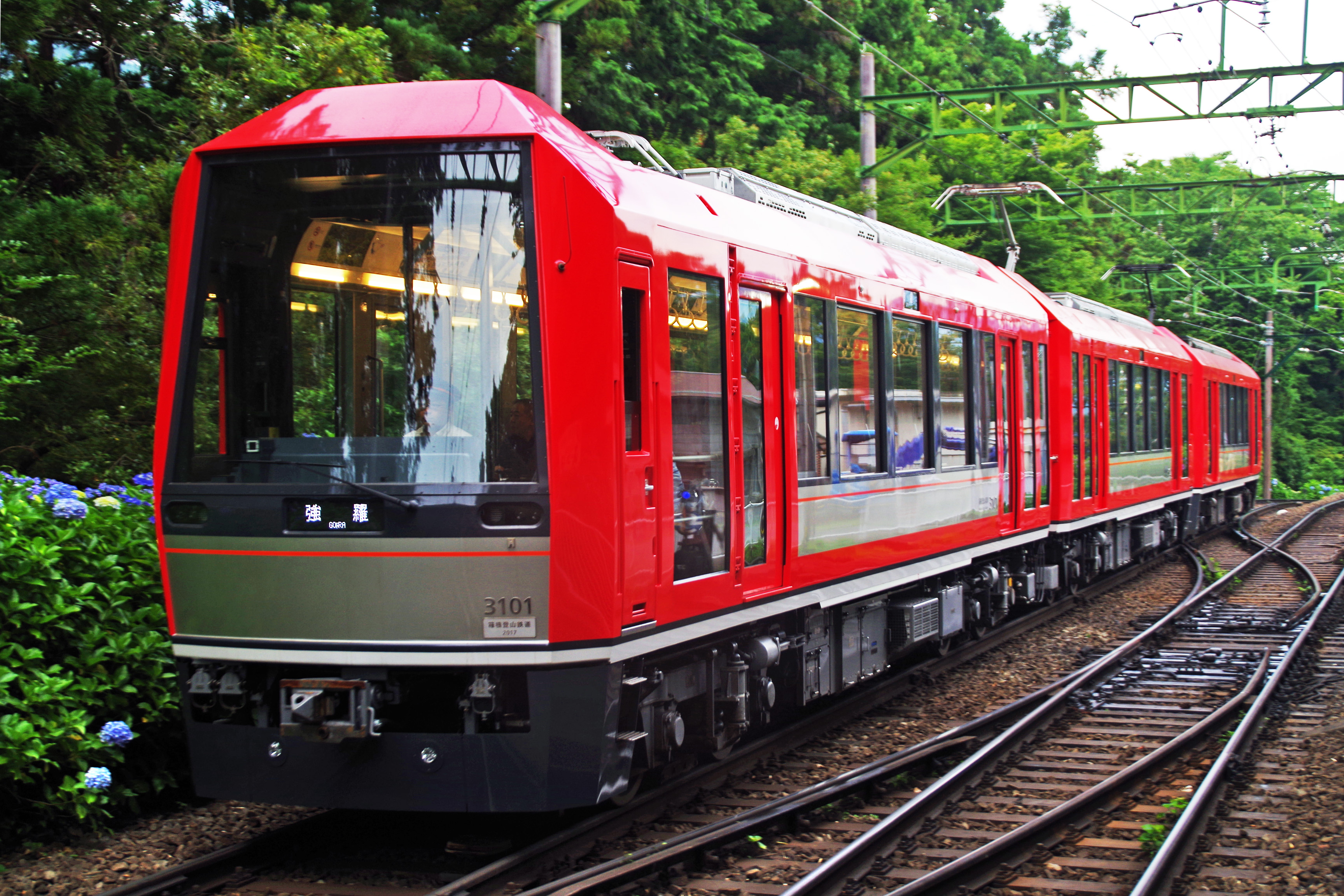 Hakone Pirate Ship Cruise