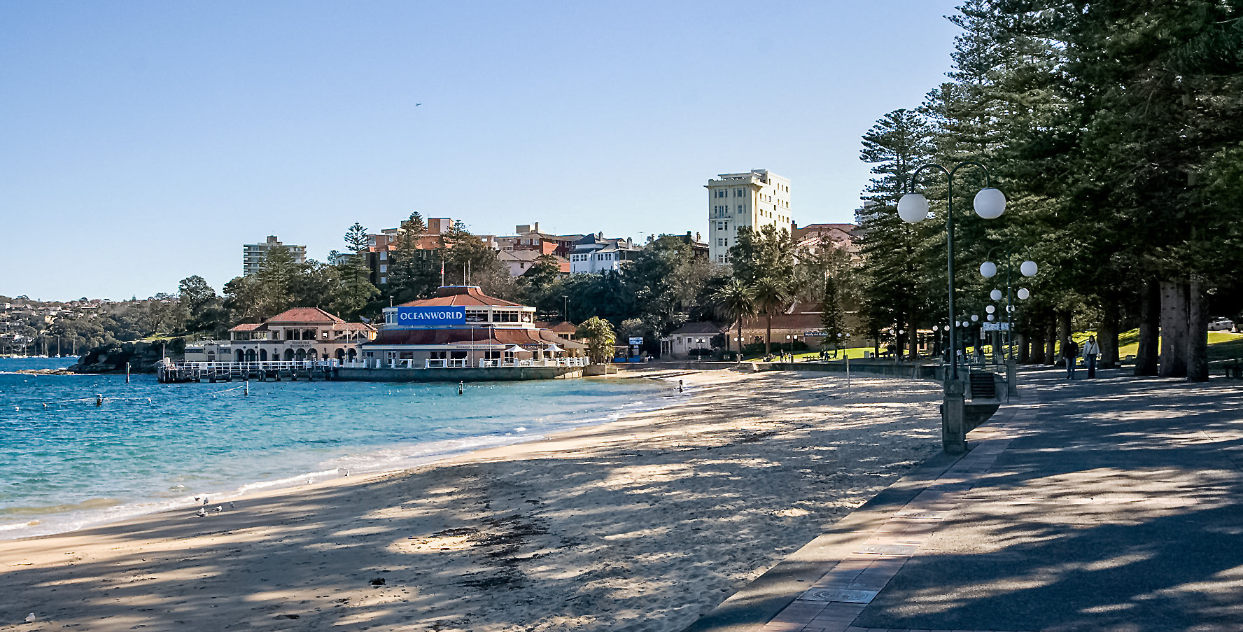 Manly to Spit Bridge Walk