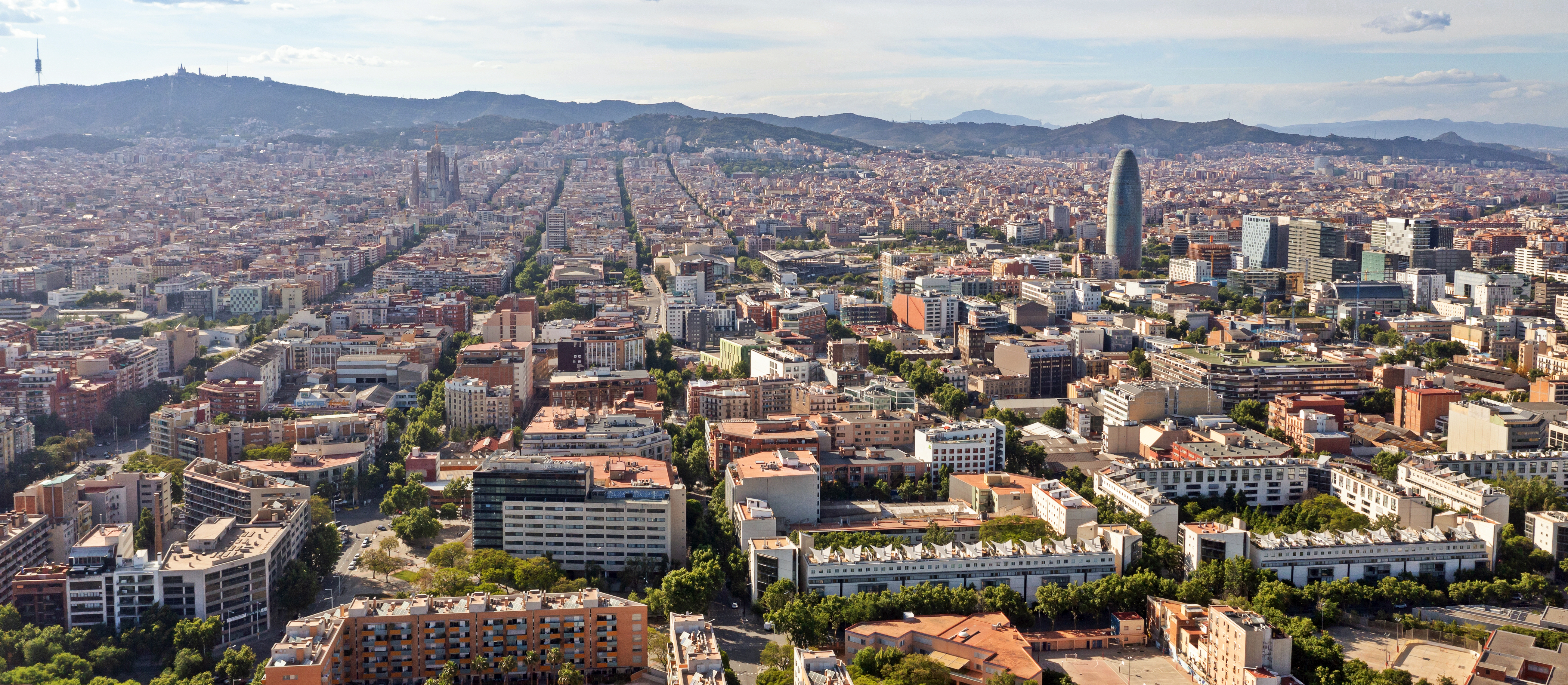 Barcelona Cathedral