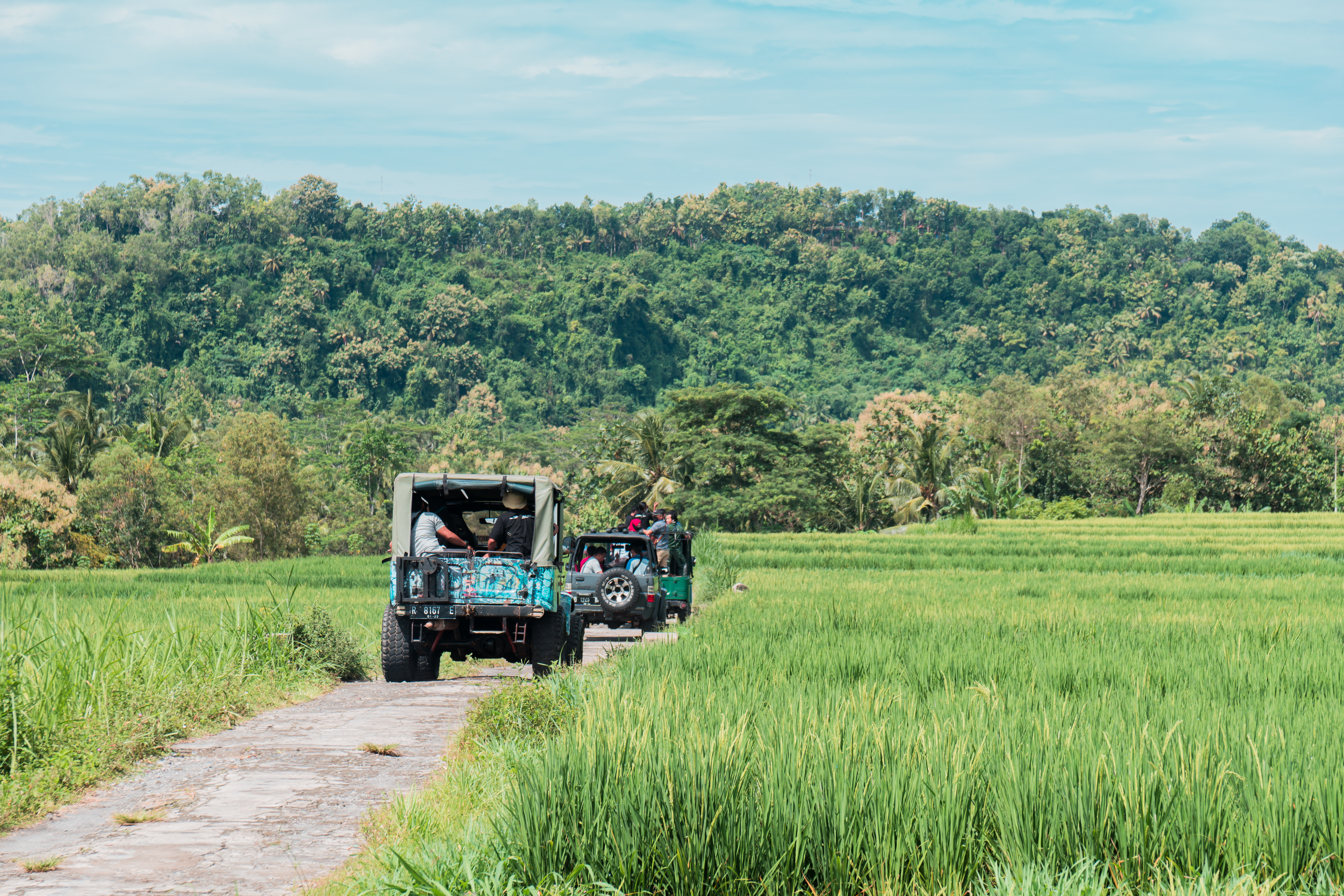 Kalibiru National Park Viewpoint