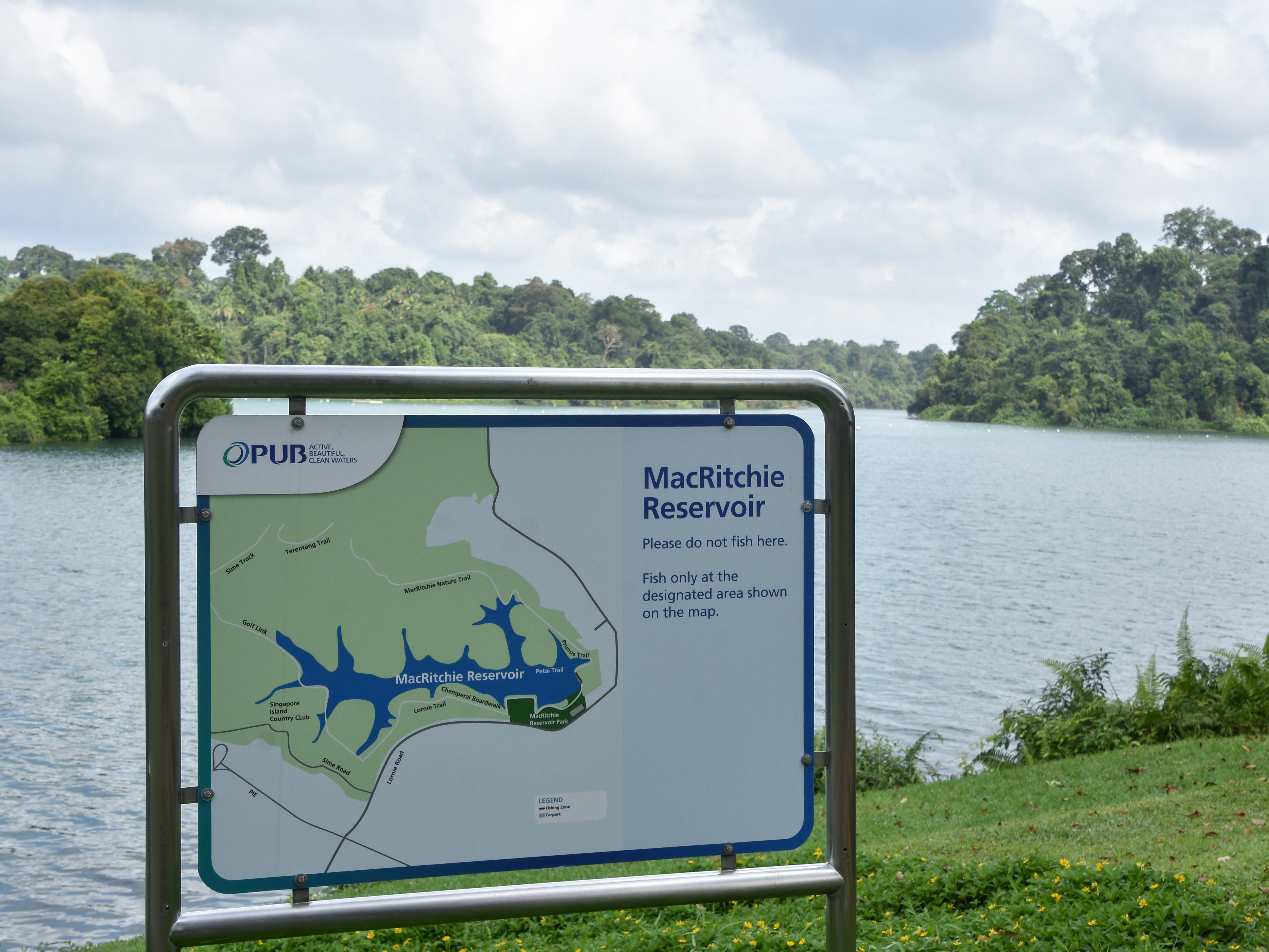 MacRitchie Reservoir TreeTop Walk